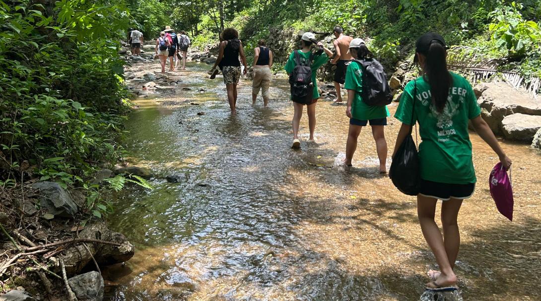 Group of conservation volunteers walking through lush forest during interpretative walks